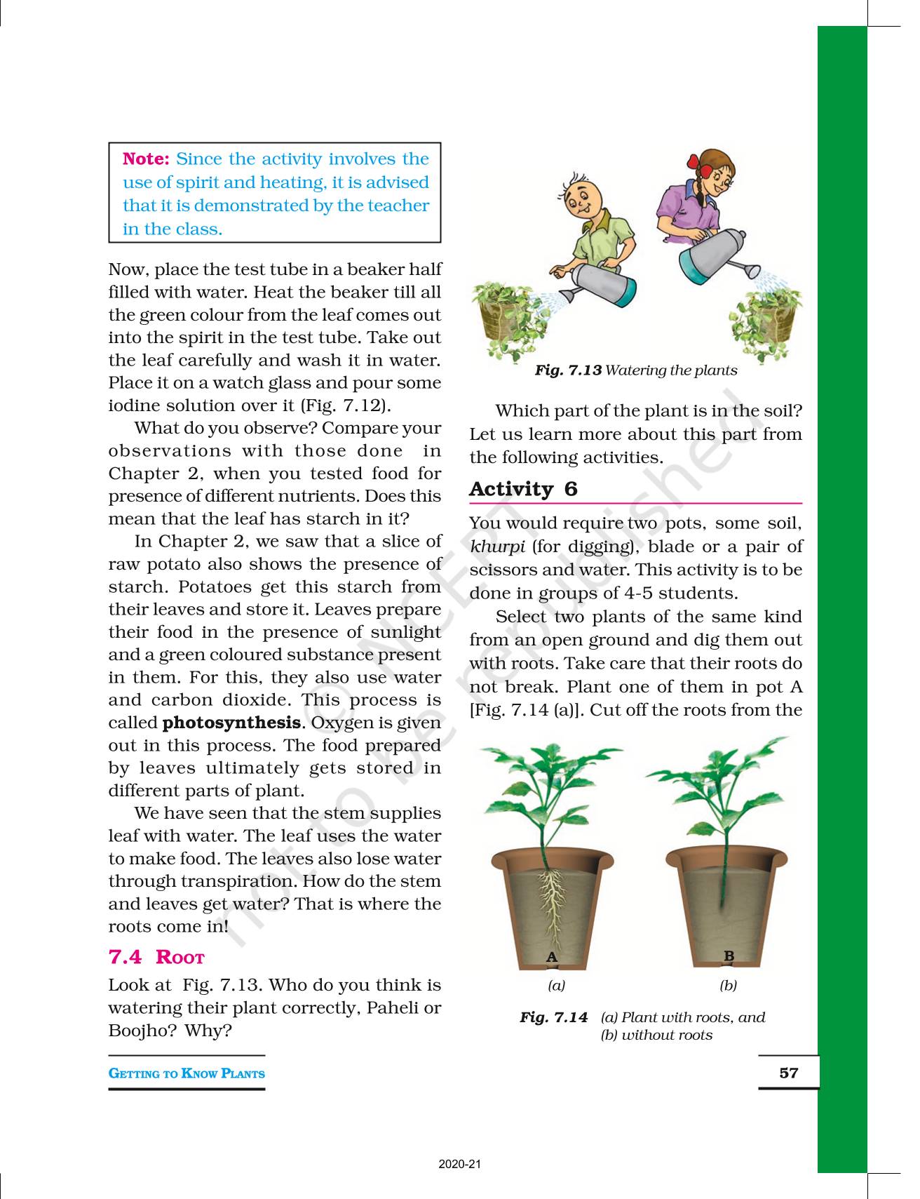 Getting To Know Plants - NCERT Book Of Class 6 Science